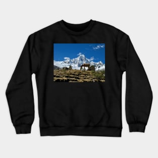 A Burro in the Andes Crewneck Sweatshirt